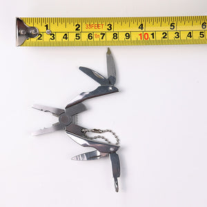 Portable Stainless Steel Multifunction Foldaway Tools Keychain.